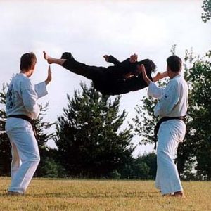 AirborneKicks Training With Supreme GrandMaster Yu