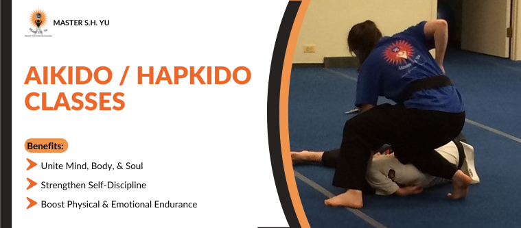 Hapkido Classes in Oak Park, IL - Master SH Yu