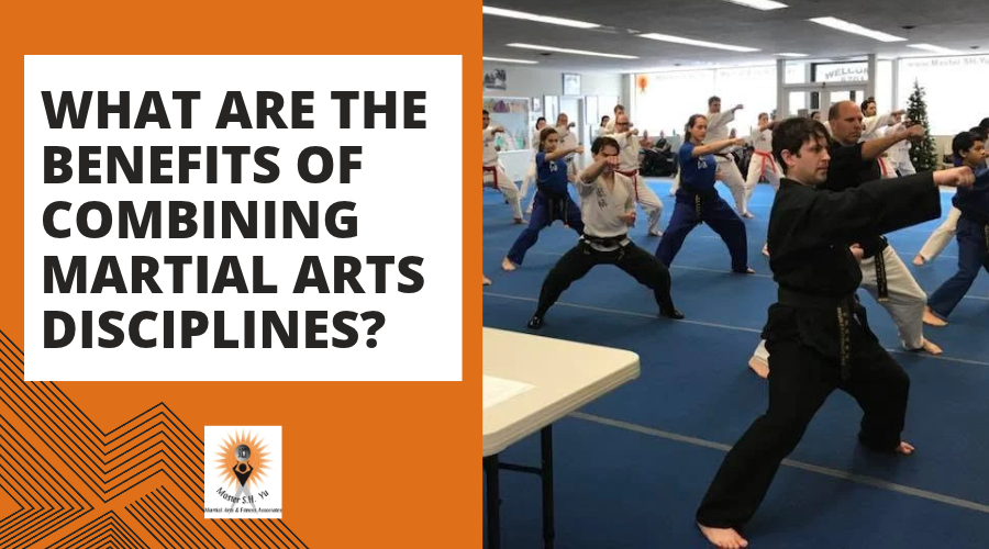 What Are The Benefits Of Combining Martial Arts Disciplines - Master S.H. Yu